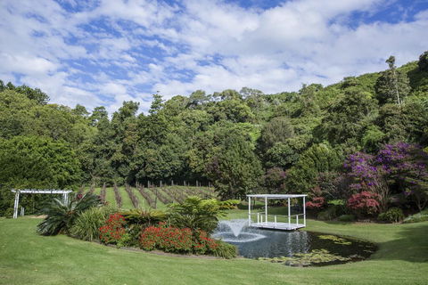 Maleny Manor - Accommodation Search 2
