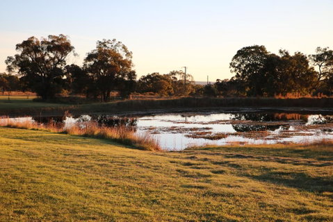 Maric Park Cottages - Accommodation Search 2