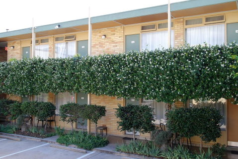 Mid City Motor Inn Queanbeyan - Accommodation Search 1
