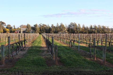 Milawa Vineyard Views - Guesthouse 1 - Accommodation Search 1