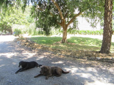 Molenda Lodge Farm Let - Accommodation Search 3