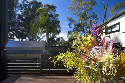 Mollymook Caravan Park - Accommodation Search 2