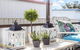 Morton Cottage At Lemon Tree - thumb 3