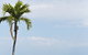 Moonlight Bay Suites - thumb 4