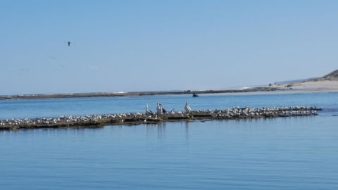 Kalbarri Seaview Villas - Accommodation Search 33