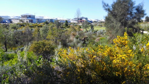 Alkimos Beach Cottage - Accommodation Search 3