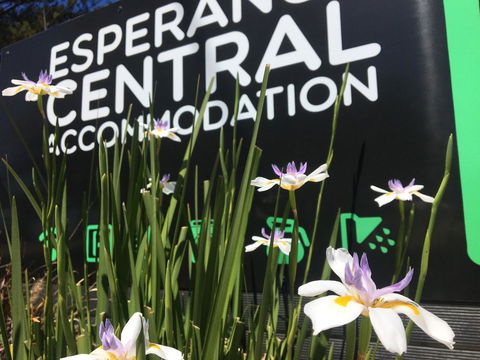 Esperance Central Accommodation - Accommodation Search 0