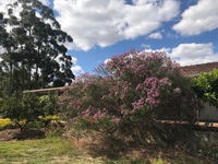Book Cockburn Central Accommodation Vacations Accommodation Search Accommodation Search