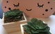 Dampier House Mullaloo-Perth - thumb 14
