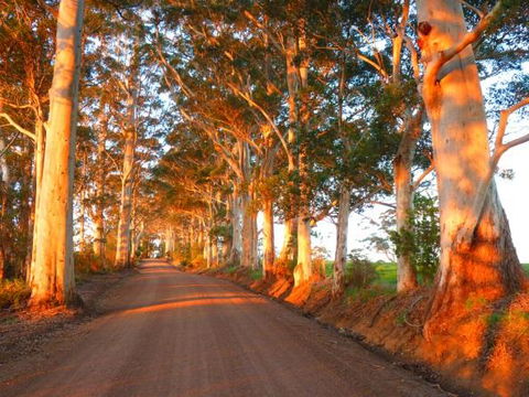 Innisfree Mountain Retreat - Accommodation Search 10