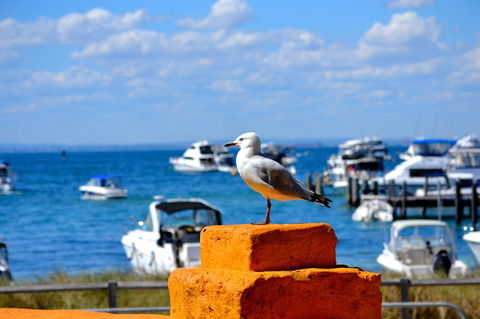 Palms Bed & Breakfast - Accommodation Search 25