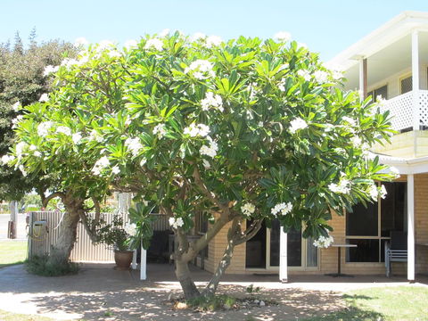 Kalbarri Riverfront Unit - Accommodation Search 6