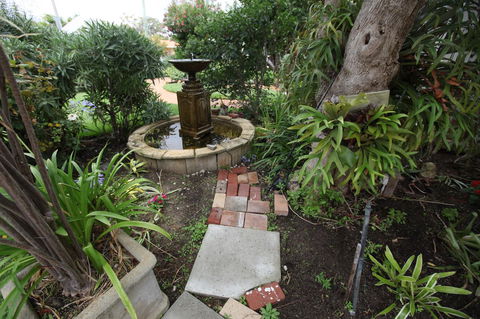 Jacaranda Guest House - Accommodation Search 32