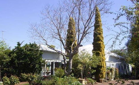 Jacaranda Guest House - Accommodation Search 37