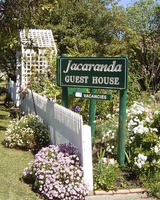 Jacaranda Guest House - Accommodation Search 43