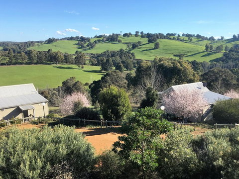 Balingup Highview Chalets - Accommodation Search 5