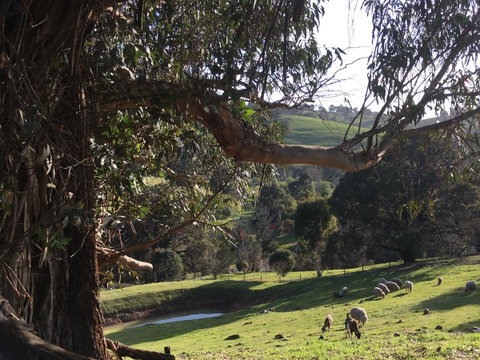 Balingup Highview Chalets - Accommodation Search 13
