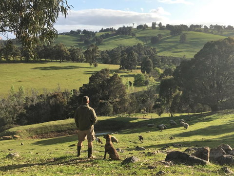 Balingup Highview Chalets - Accommodation Search 27
