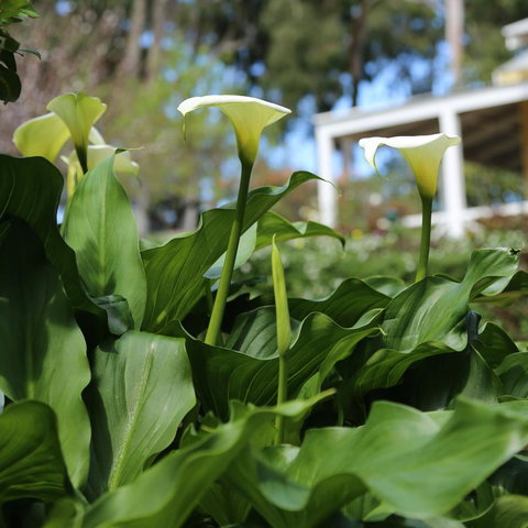 Two Sisters Chalets - Accommodation Search 32