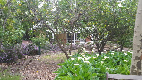 Two Sisters Chalets - Accommodation Search 15