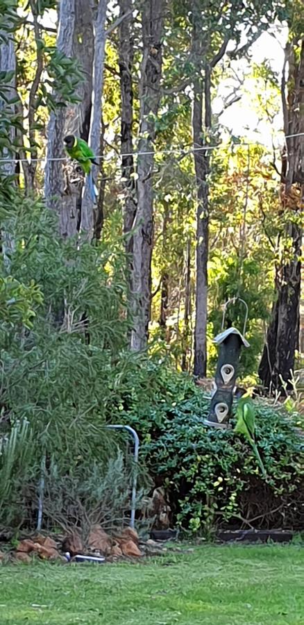 Di's Cabin In Dwellingup - Accommodation Search 6