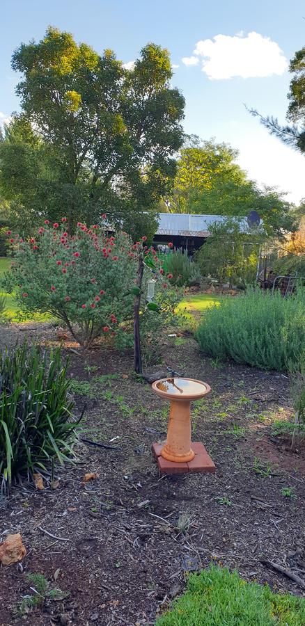 Di's Cabin In Dwellingup - Accommodation Search 14