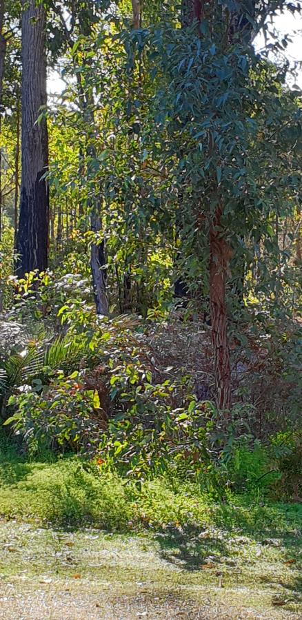 Di's Cabin In Dwellingup - Accommodation Search 8