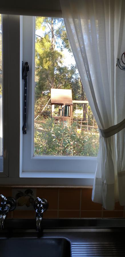 Di's Cabin In Dwellingup - Accommodation Search 15