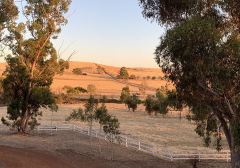 Daisy Cottage - Accommodation Search 4