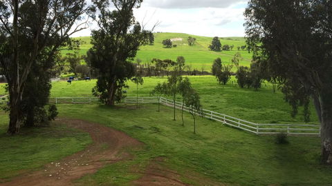Daisy Cottage - Accommodation Search 22