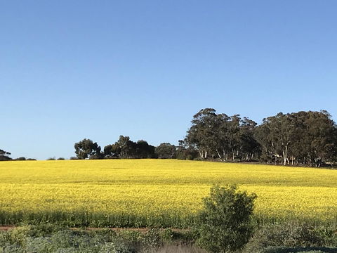 Daisy Cottage - Accommodation Search 6