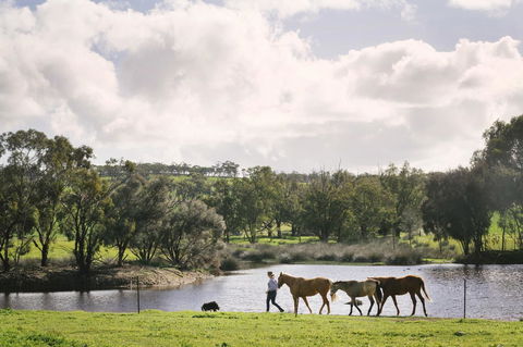 Daisy Cottage - Accommodation Search 28