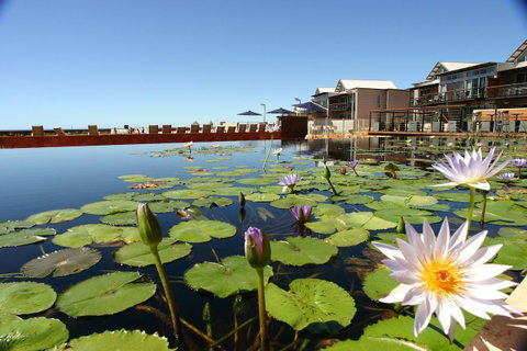 Mantarays Ningaloo Beach Resort - Accommodation Search 4