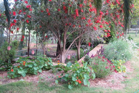 Bentwood Olive Grove Accommodation - Accommodation Search 21
