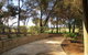 Bentwood Olive Grove Accommodation - thumb 2