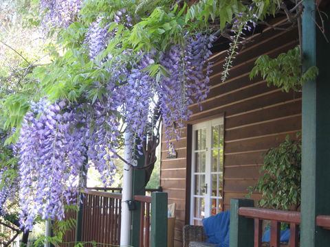 RoseMoore Bed & Breakfast - Accommodation Search 11