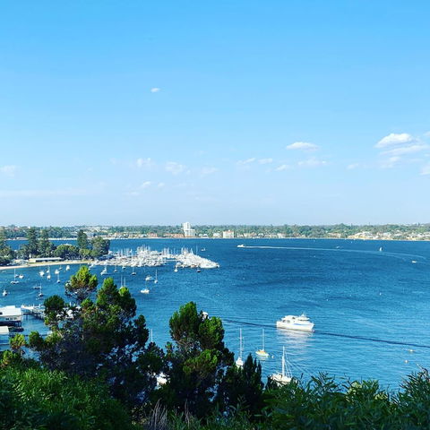 SEA BREEZE â€“ Between Cottesloe Beach & Swan River - Accommodation Search 23
