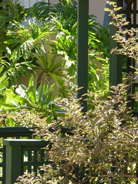 Kalbarri Beach Resort - Accommodation Search 32