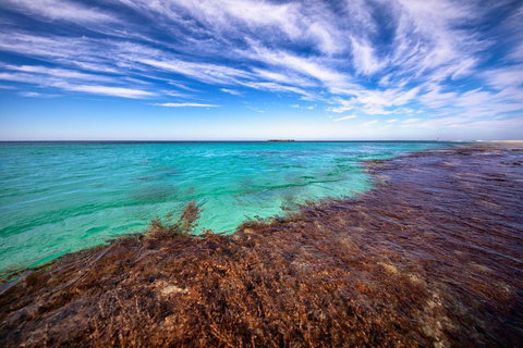 Discovery Resorts - Rottnest Island - Accommodation Search 24