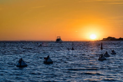 Discovery Resorts - Rottnest Island - Accommodation Search 27