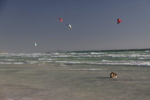 Dongara Tourist Park - Accommodation Search 33