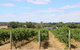 Burton Farmhouse - thumb 11