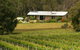 SilverSprings Spa Retreat Pet Friendly Cottages And Glampings - thumb 3