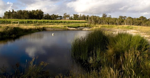 SilverSprings Spa Retreat Pet Friendly Cottages And Glampings - Accommodation Search 2