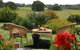 SilverSprings Spa Retreat Pet Friendly Cottages And Glampings - thumb 0