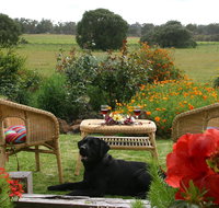 Silversprings cottages - Accommodation Search