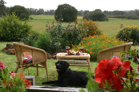 SilverSprings Spa Retreat Pet Friendly Cottages And Glampings - Accommodation Search 0