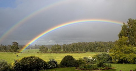 SilverSprings Spa Retreat Pet Friendly Cottages And Glampings - Accommodation Search 19