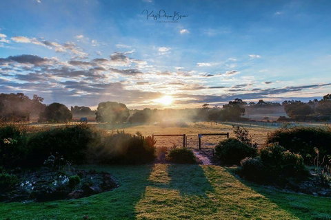 SilverSprings Spa Retreat Pet Friendly Cottages And Glampings - Accommodation Search 26