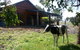 SilverSprings Spa Retreat Pet Friendly Cottages And Glampings - thumb 23